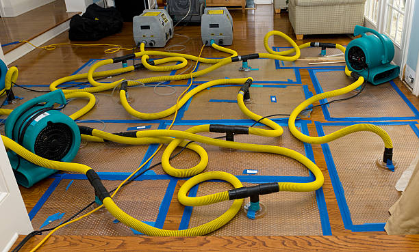 Professional Crawl Space Water Removal technician working in Riverdale, NJ